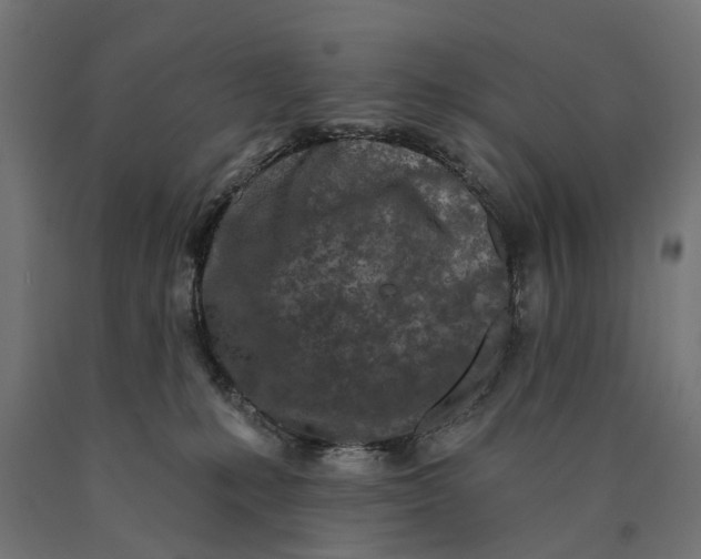 X0000090420231200708031113