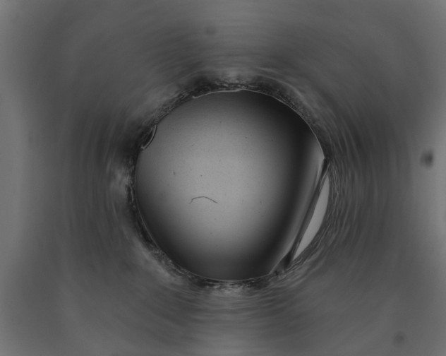 X0000090420235200708031113