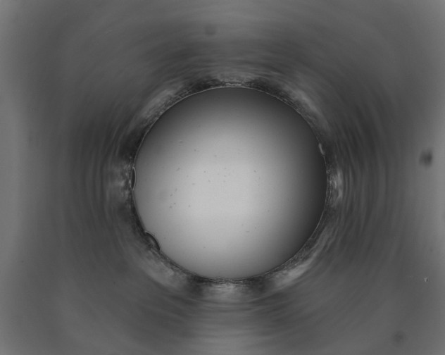 X0000090420237200708031113