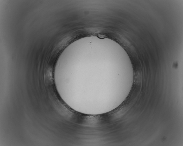 X0000090420238200708031113