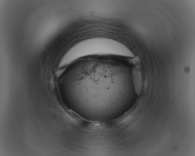 X0000090420239200708031113