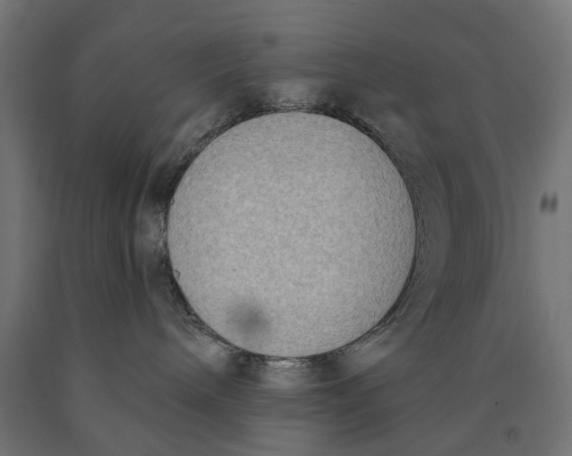 X0000090420240200708031113