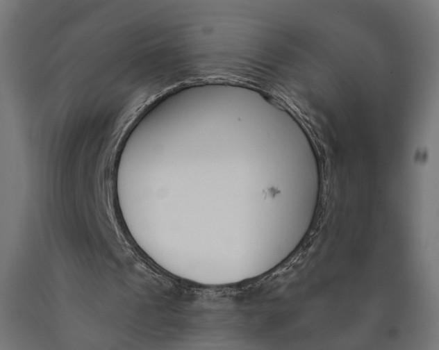 X0000090420241200708031112