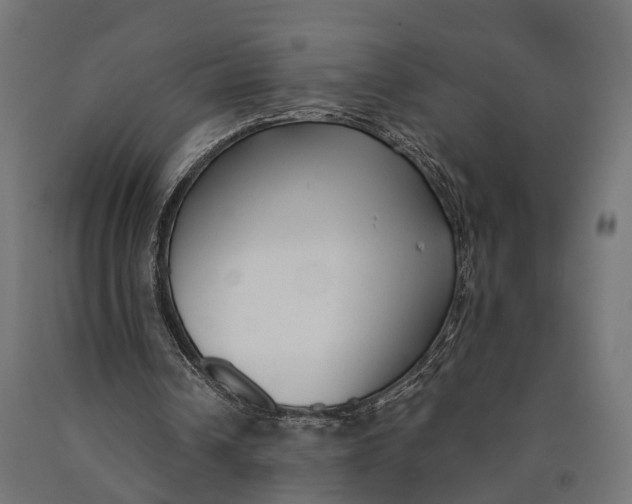 X0000090420242200708031112