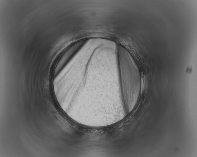 X0000090420243200708031112