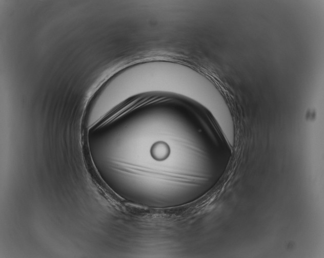 X0000090420244200708031112