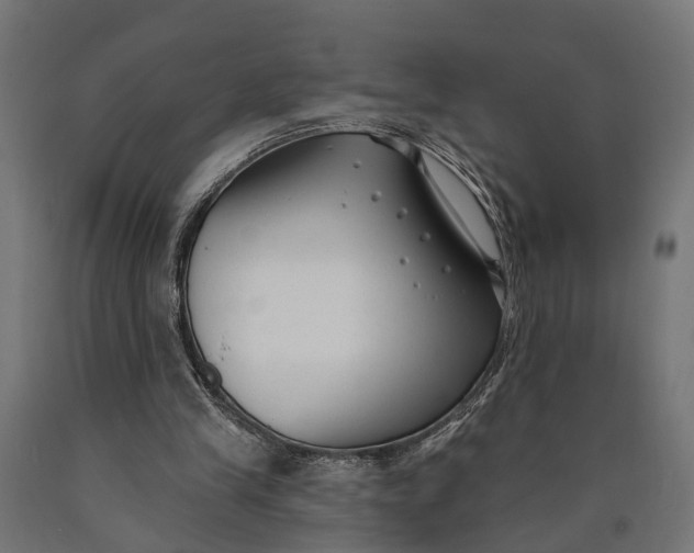 X0000090420245200708031113