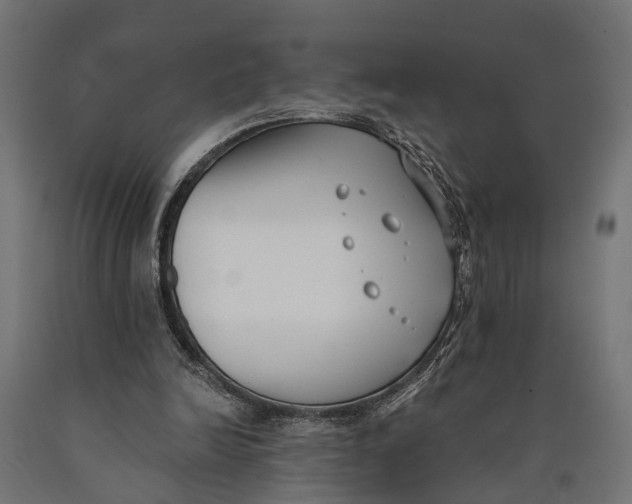 X0000090420246200708031113