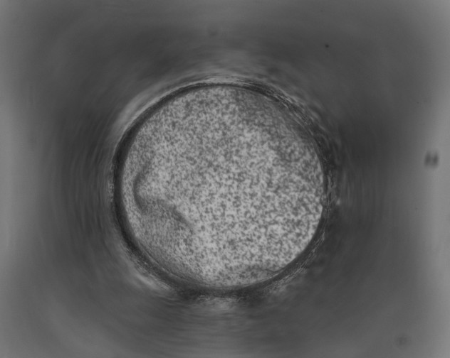 X0000090420247200708031113