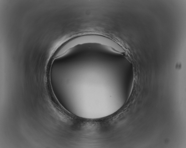 X0000090420248200708031113