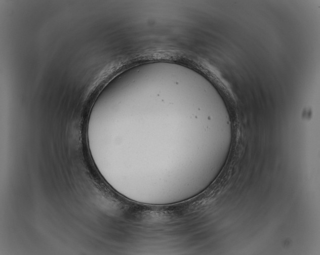 X0000090420250200708031113