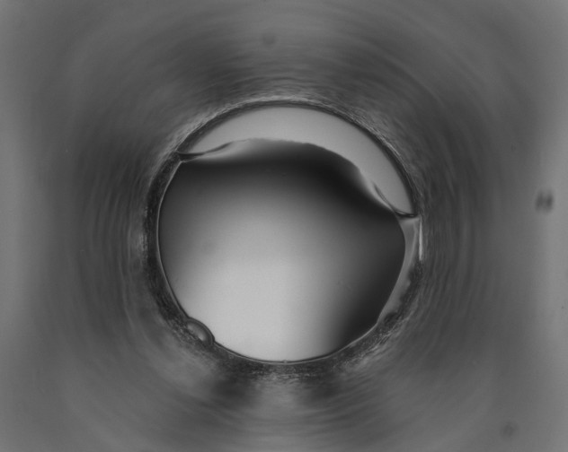 X0000090420252200708031113