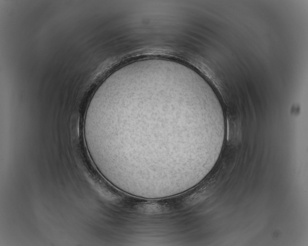 X0000090420253200708031113