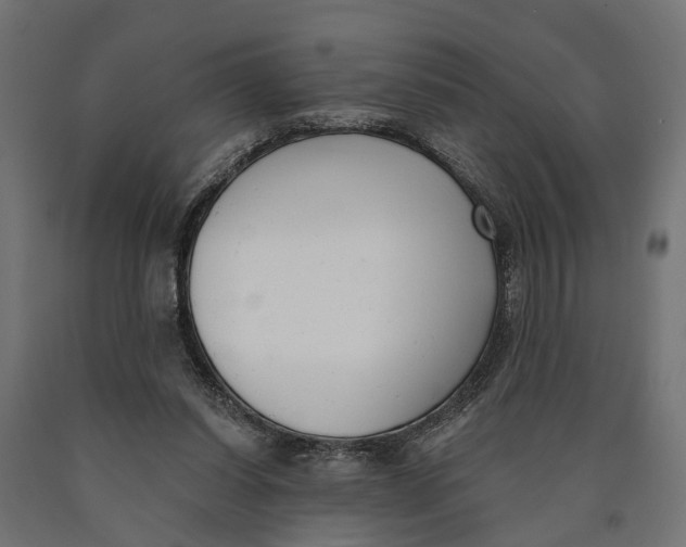 X0000090420254200708031113