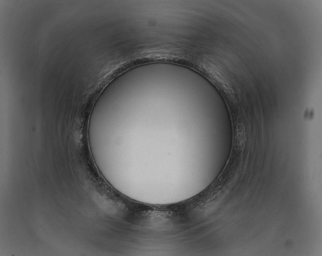 X0000090420255200708031113