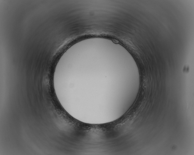 X0000090420256200708031113