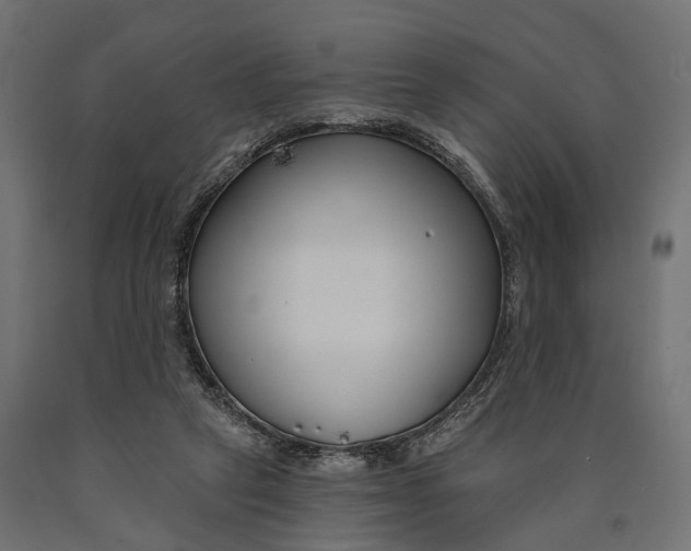 X0000090420257200708031113