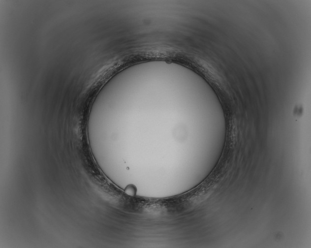 X0000090420258200708031113