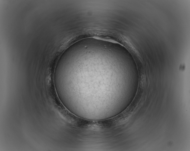 X0000090420259200708031113