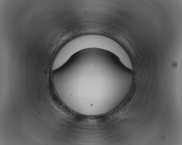 X0000090420260200708031113