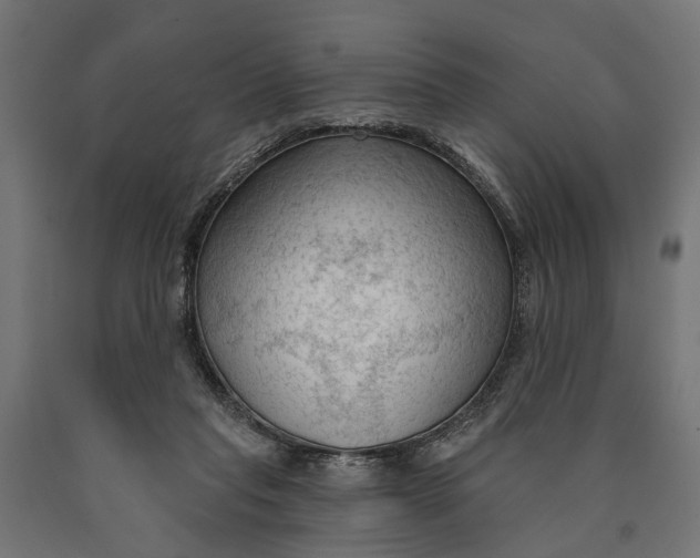 X0000090420261200708031113