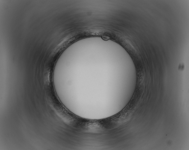 X0000090420262200708031113