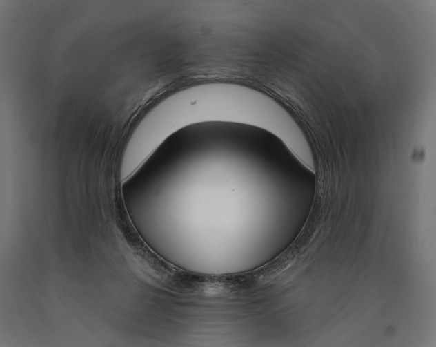 X0000090420264200708031113