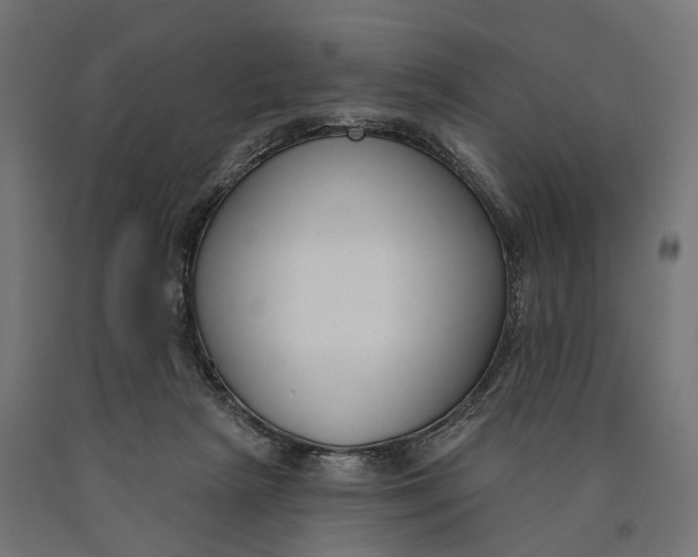 X0000090420265200708031113