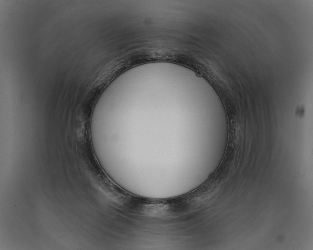 X0000090420266200708031113