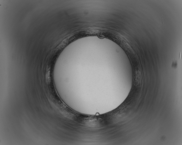 X0000090420267200708031113