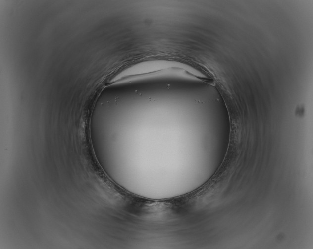 X0000090420269200708031113