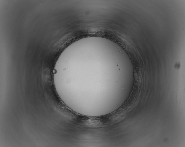 X0000090420270200708031113