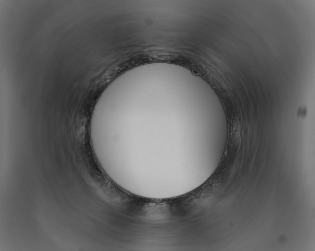 X0000090420271200708031113