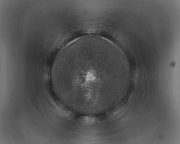 X0000090420272200708031113