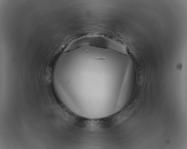 X0000090420273200708031113