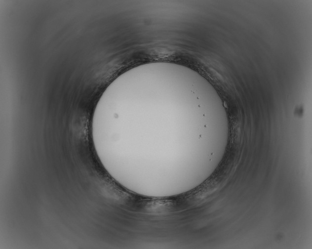 X0000090420274200708031113