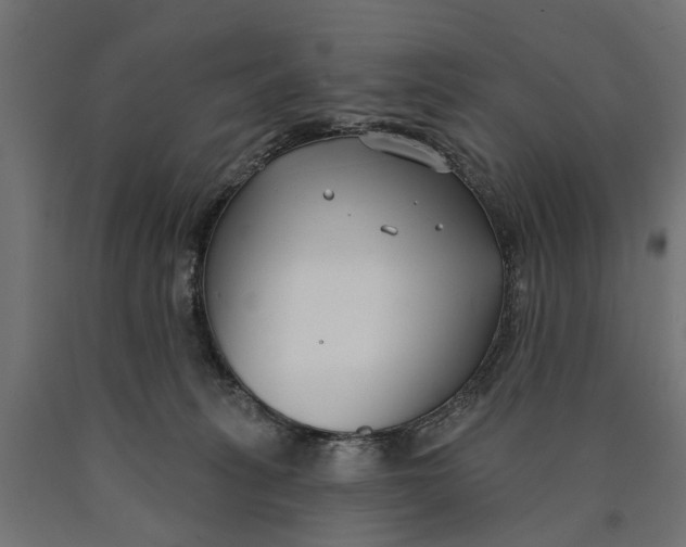 X0000090420275200708031113