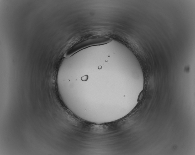 X0000090420277200708031113