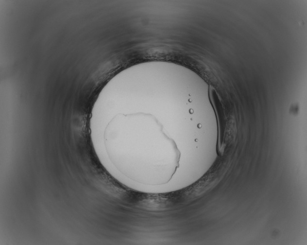 X0000090420278200708031113