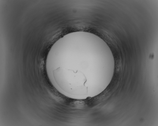 X0000090420279200708031113