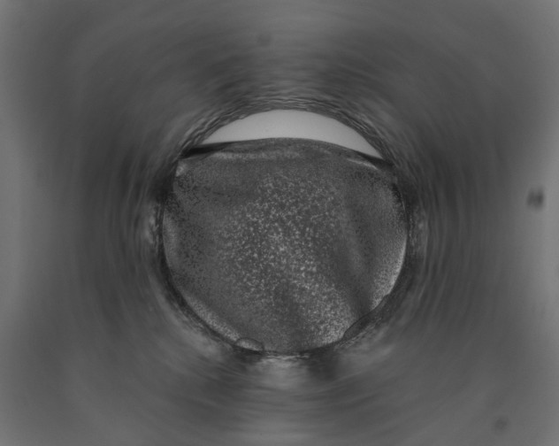 X0000090420280200708031113