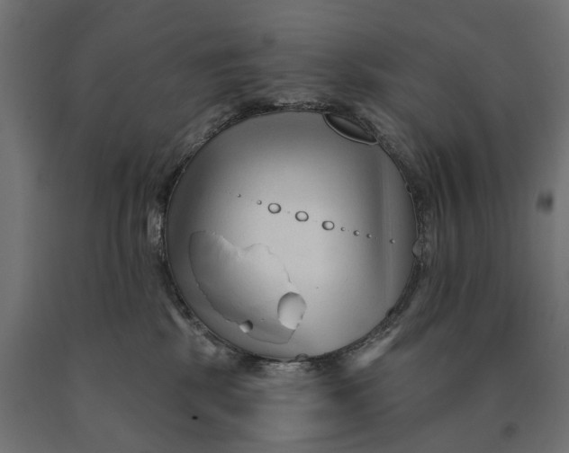 X0000090420281200708031113