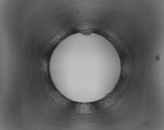 X0000090420282200708031113