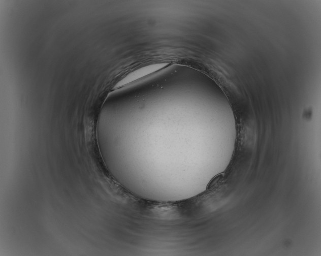 X0000090420283200708031113