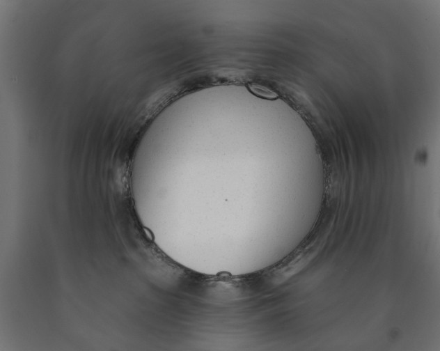 X0000090420285200708031113