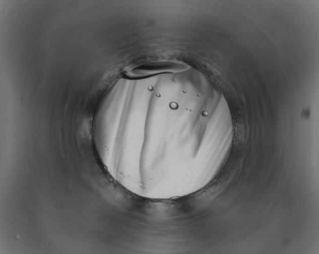 X0000090420286200708031113