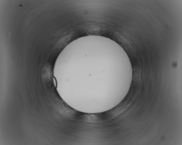 X0000090420287200708031113