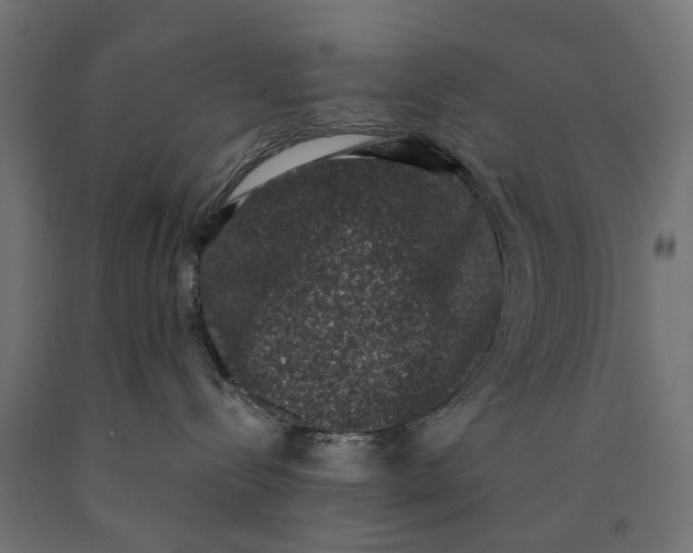 X0000090420288200708031113