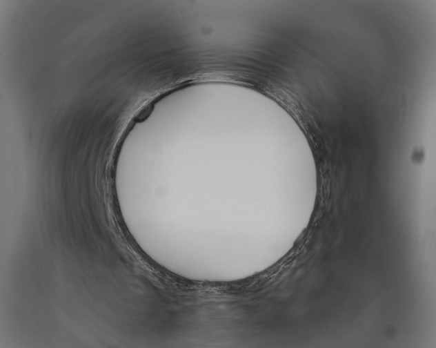 X0000090420289200708031112