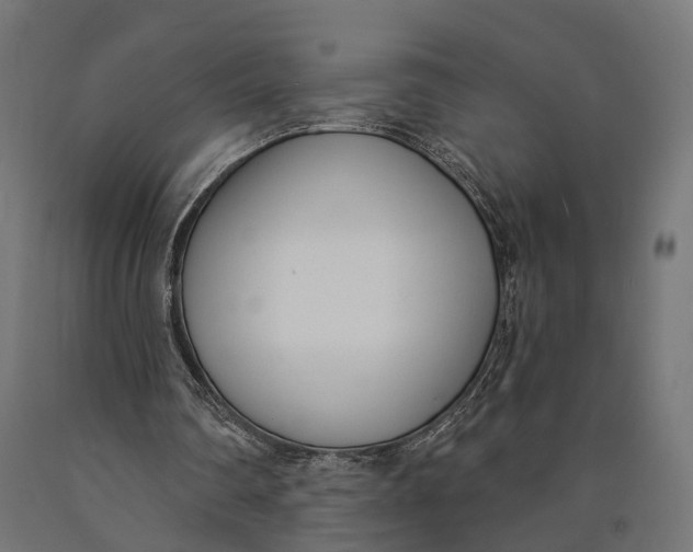 X0000090420290200708031112